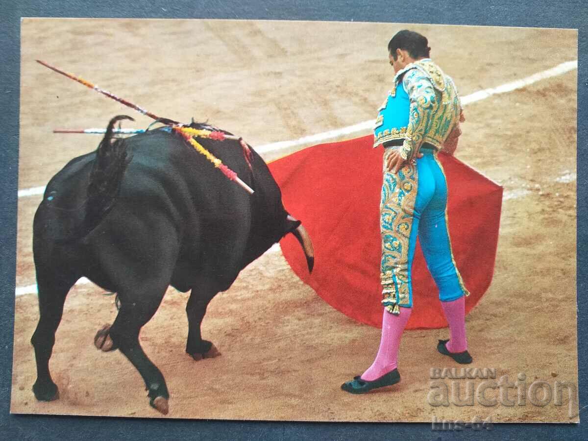 Bullfight Spain