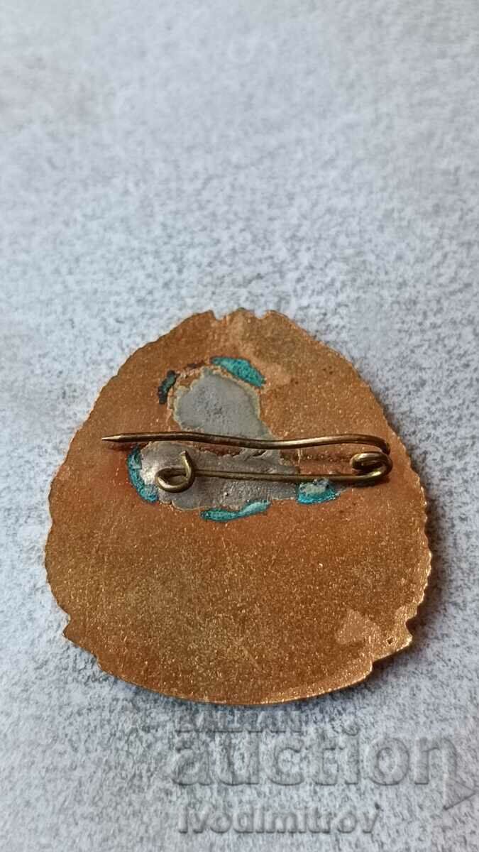 Badge 20 years Border troops Loyal guard - gold with price 48.65 BGN | € 24.87 Badge 20 years Border troops Loyal guard - gold with price 48.65 BGN | € 24.87