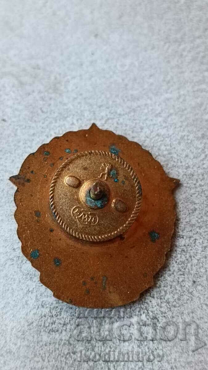 Badge 25 Years Border Troops with price 32.45 BGN | € 16.59 Badge 25 Years Border Troops with price 32.45 BGN | € 16.59