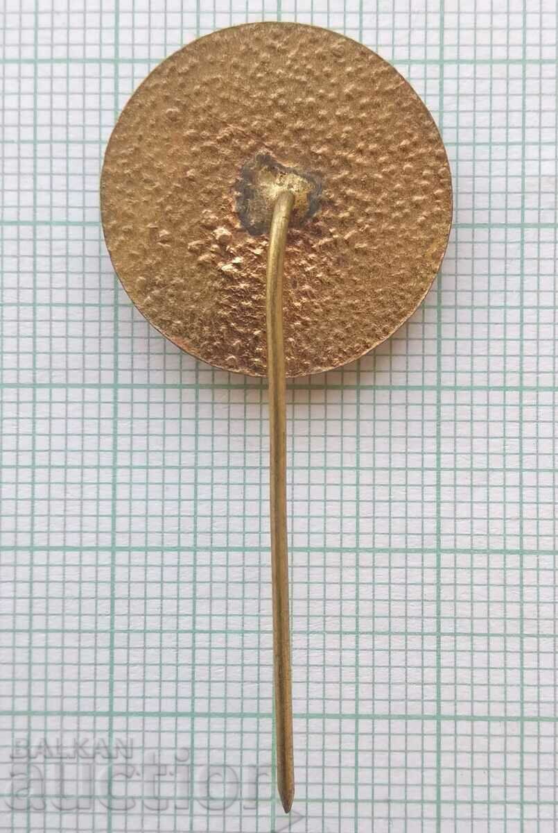 Auction 13904 Badge - 12th congress of DKMS Sofia 1972 - bronze enamel Auction 13904 Badge - 12th congress of DKMS Sofia 1972 - bronze enamel