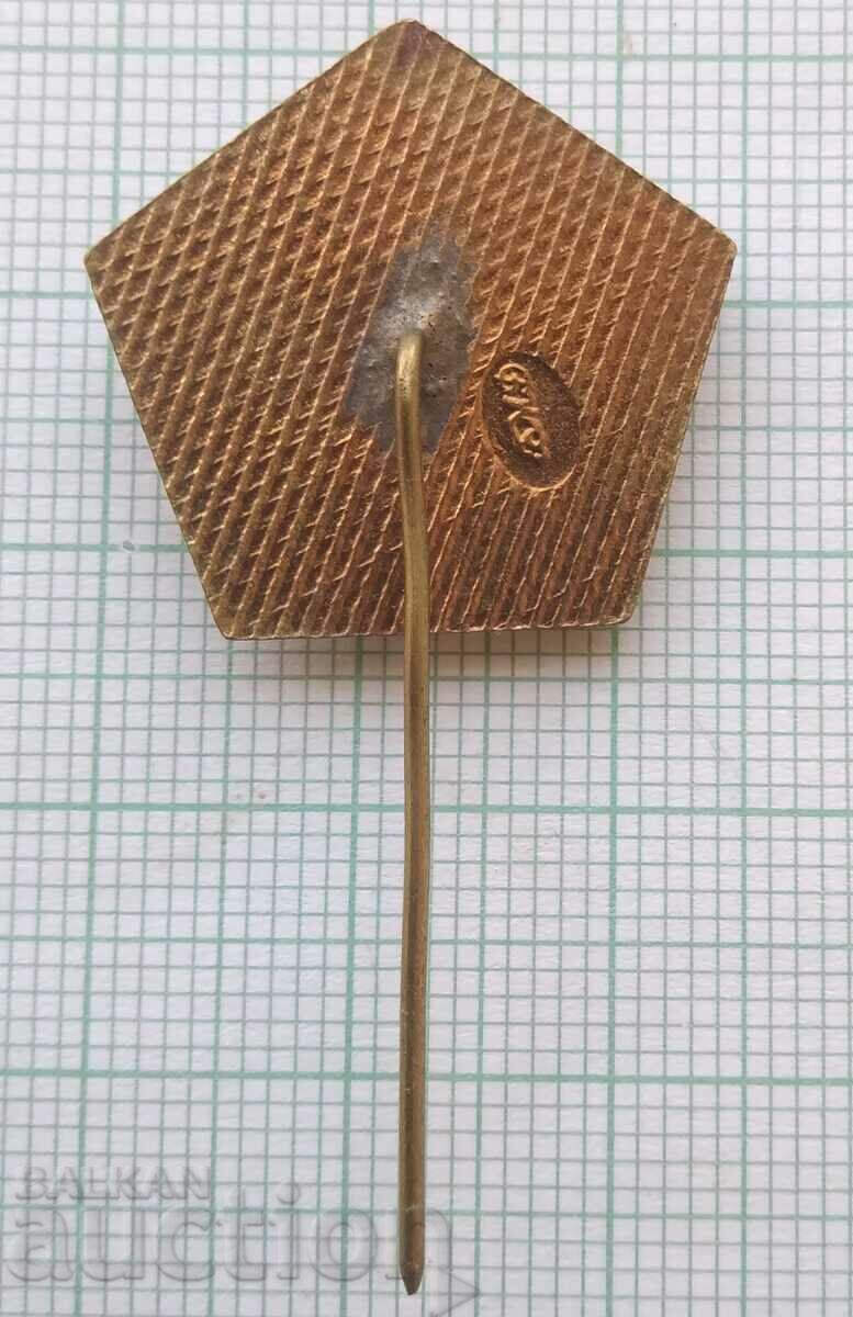 Licitație 13907 Insigna - 25 de ani Puterea Poporului 1944-1969 - email bronz Licitație 13907 Insigna - 25 de ani Puterea Poporului 1944-1969 - email bronz