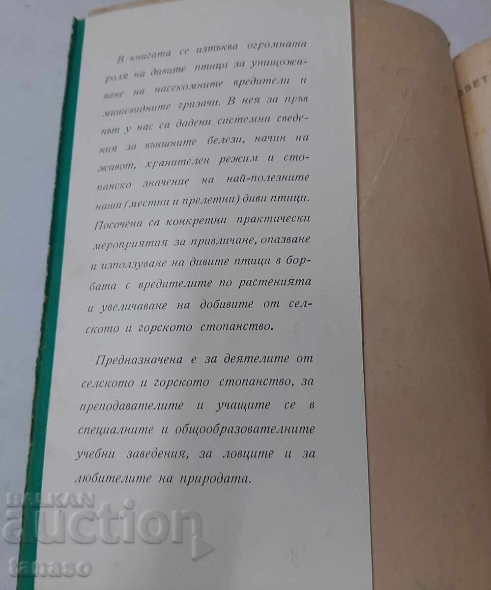 Auction The wild birds. V. Tsvetkov, G. Arabadzhiev, I. Arabadzhiev Auction The wild birds. V. Tsvetkov, G. Arabadzhiev, I. Arabadzhiev