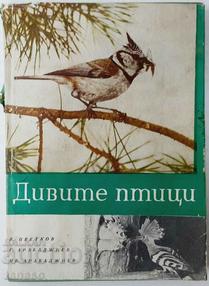 Дивите птици. В. Цветков, Г. Арабаджиев, И. Арабаджиев