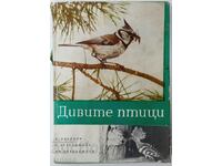 Дивите птици. В. Цветков, Г. Арабаджиев, И. Арабаджиев