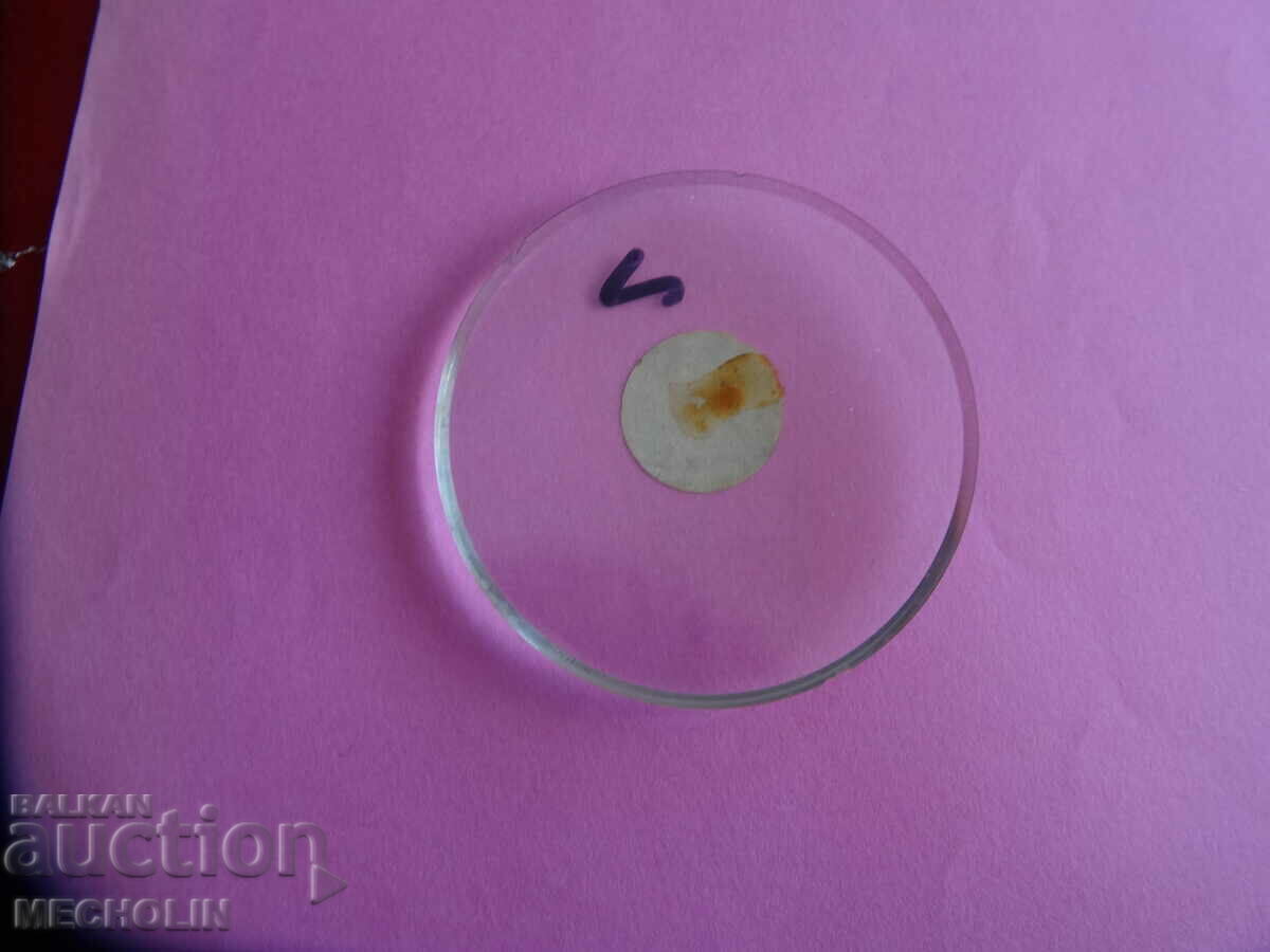 glass pocket watch 583 with price 10.00 BGN | € 5.11 glass pocket watch 583 with price 10.00 BGN | € 5.11