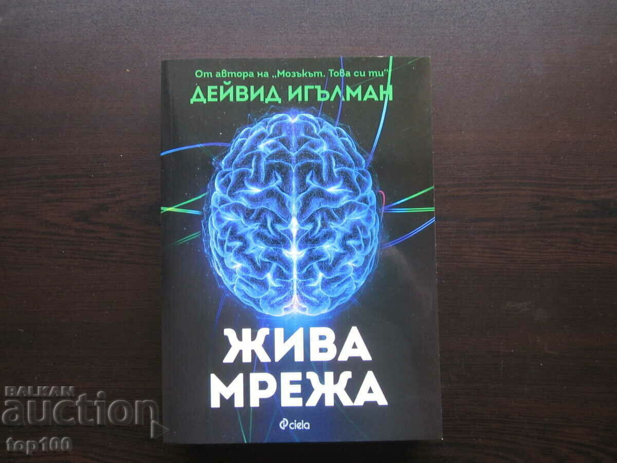 LIVE NETWORK BY DAVID EAGLEMAN 2020 BZC !!! LIVE NETWORK BY DAVID EAGLEMAN 2020 BZC !!!