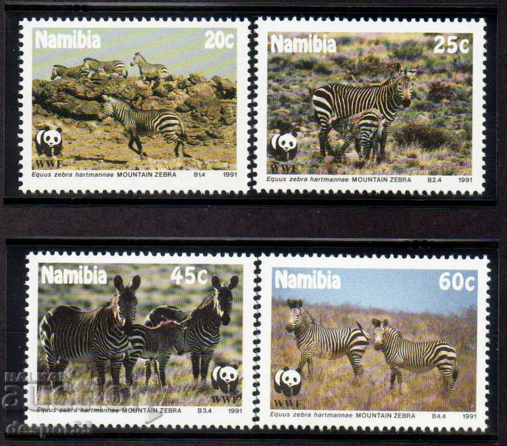 1991. Namibia. Specie pe cale de dispariție - zebra de munte.