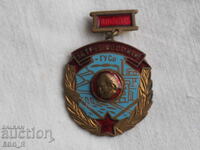 GUSV bronze enamel work award badge A1