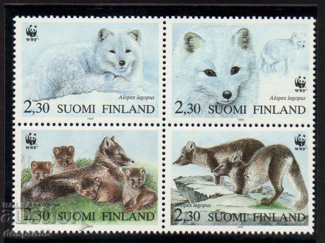 1993. Finlanda. Viața polară - vulpea arctică.