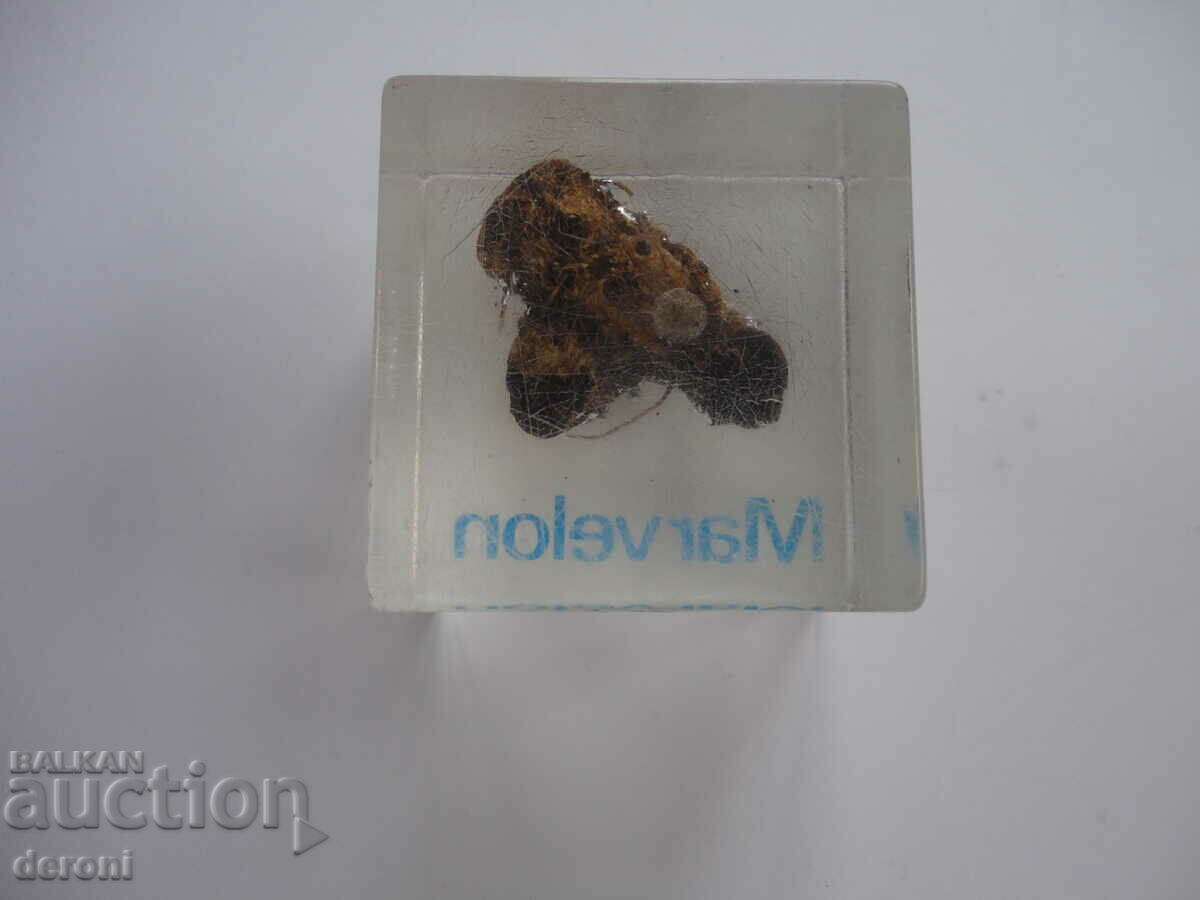 Delivery of Marvelon Advertising Cube