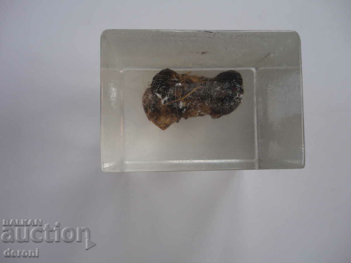 Marvelon Advertising Cube - 5