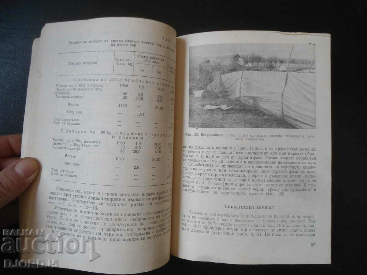 Intensive production of mushrooms with price 3.00 BGN | € 1.53