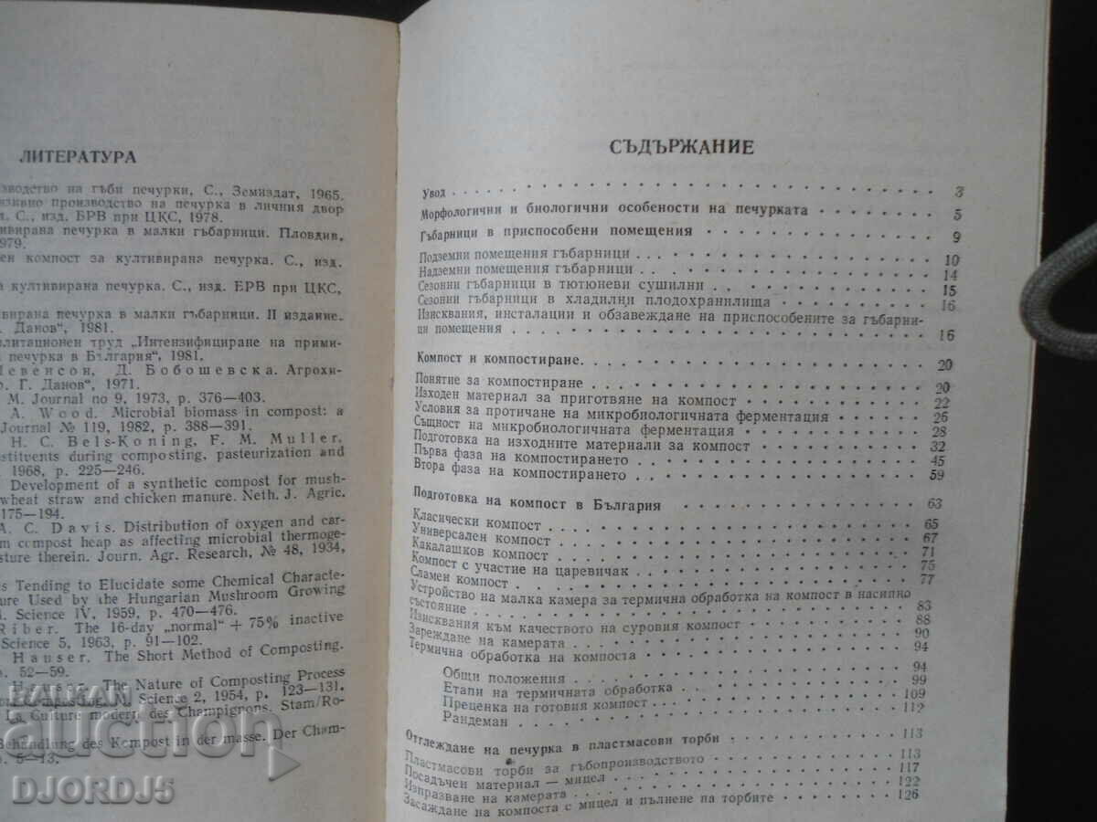 Auction  Intensive production of mushrooms