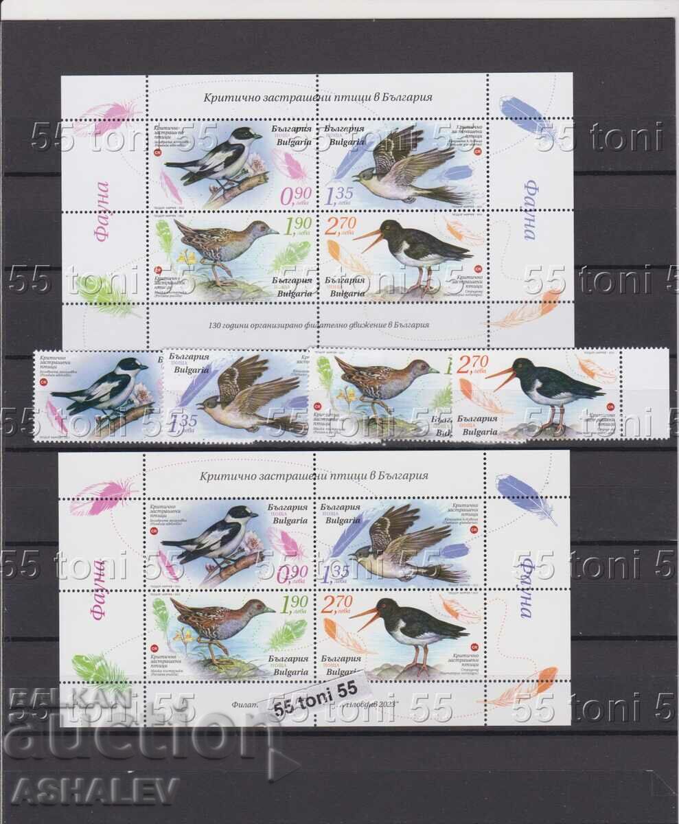 2023 Fauna Birds 4 stamps +2 blocks norm.+Uv.thread**