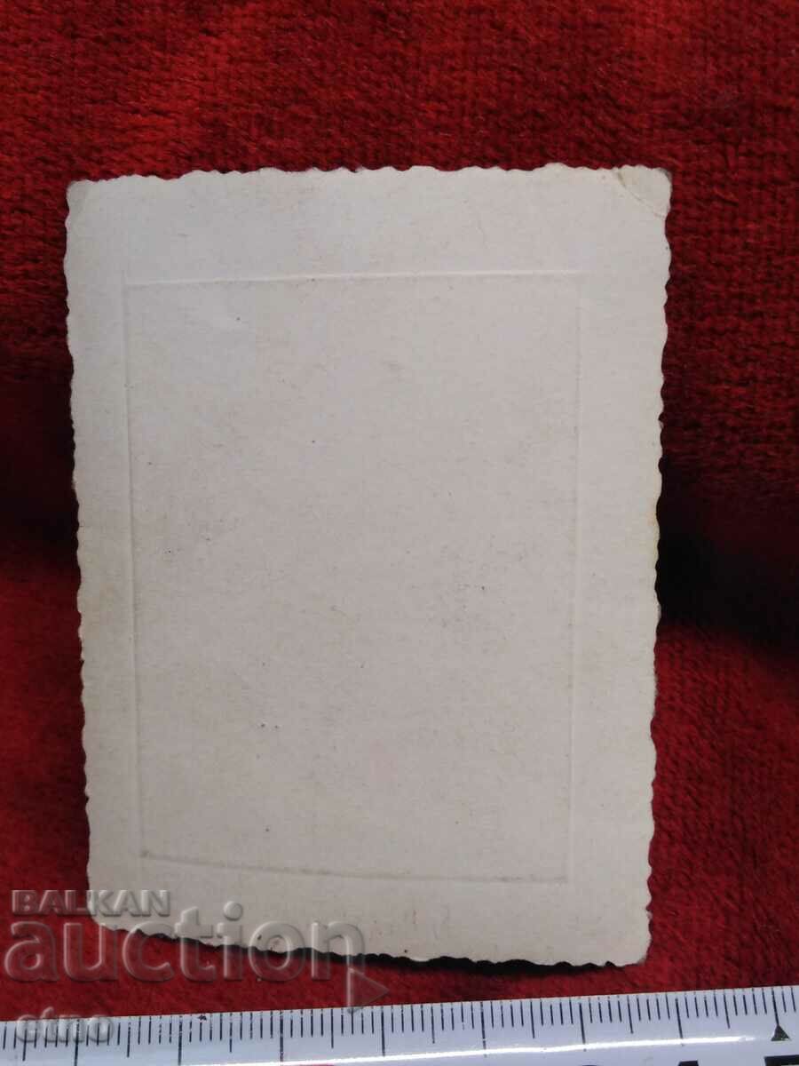 Delivery of ROYAL PHOTO - PLOVDIV, MERCEDES Delivery of ROYAL PHOTO - PLOVDIV, MERCEDES