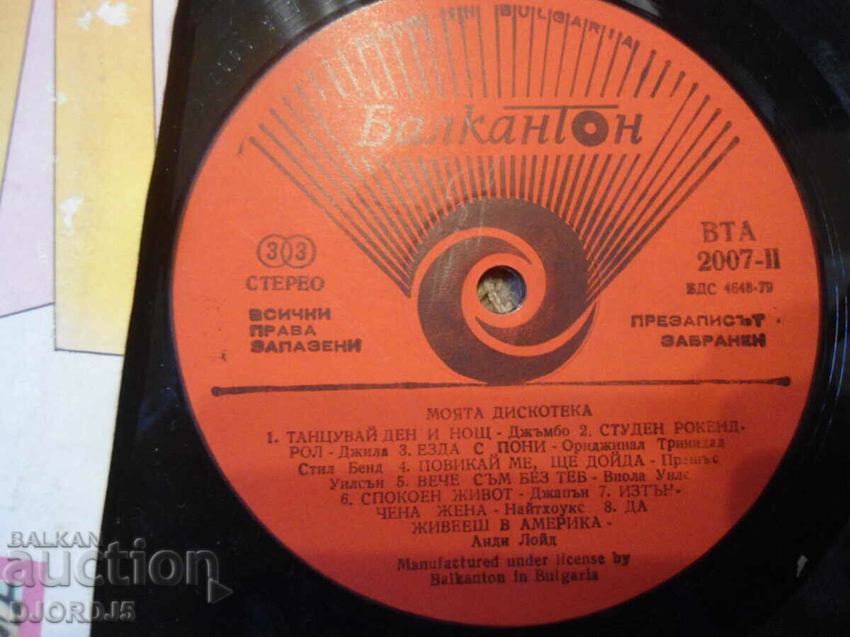 Auction  My Disco, VTA 2007, gramophone record, large