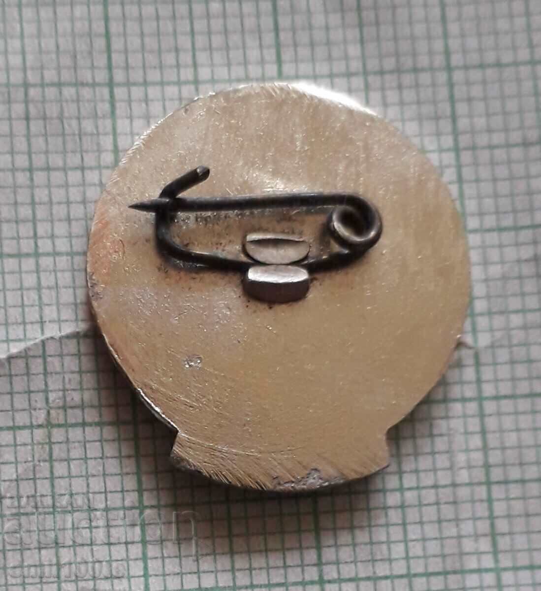 Delivery of Badge - Sofia District Council BTS Delivery of Badge - Sofia District Council BTS