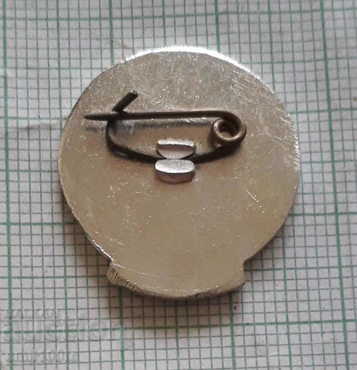 Delivery of Badge - Sofia District Council BTS Delivery of Badge - Sofia District Council BTS