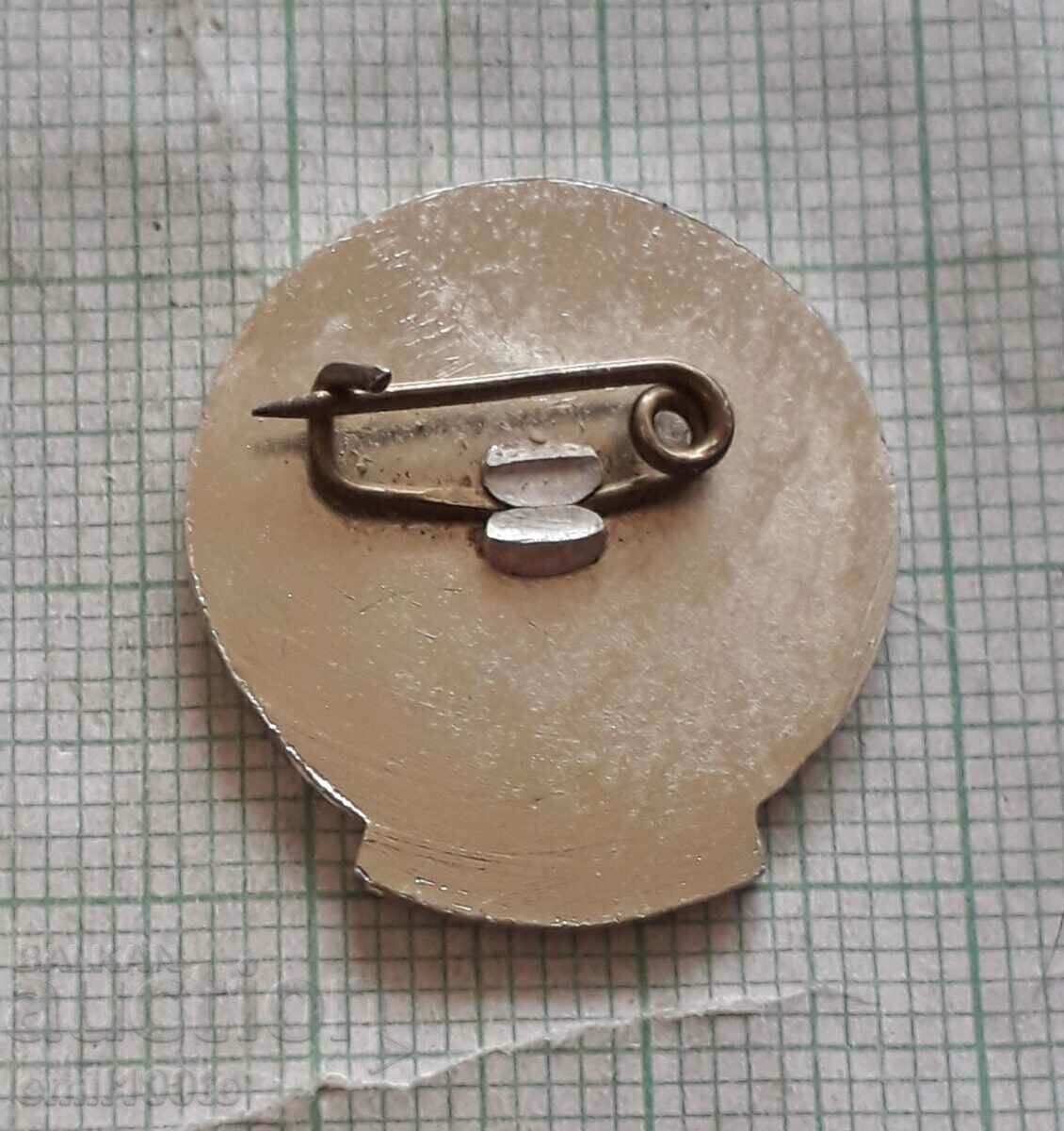 Delivery of Badge - Sofia District Council BTS Delivery of Badge - Sofia District Council BTS