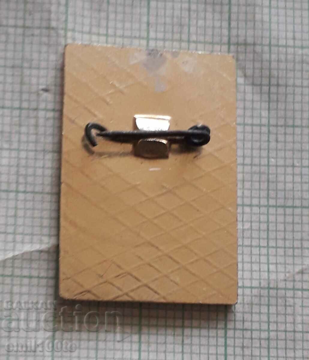 Delivery of Badge - Tourism 3rd class Delivery of Badge - Tourism 3rd class