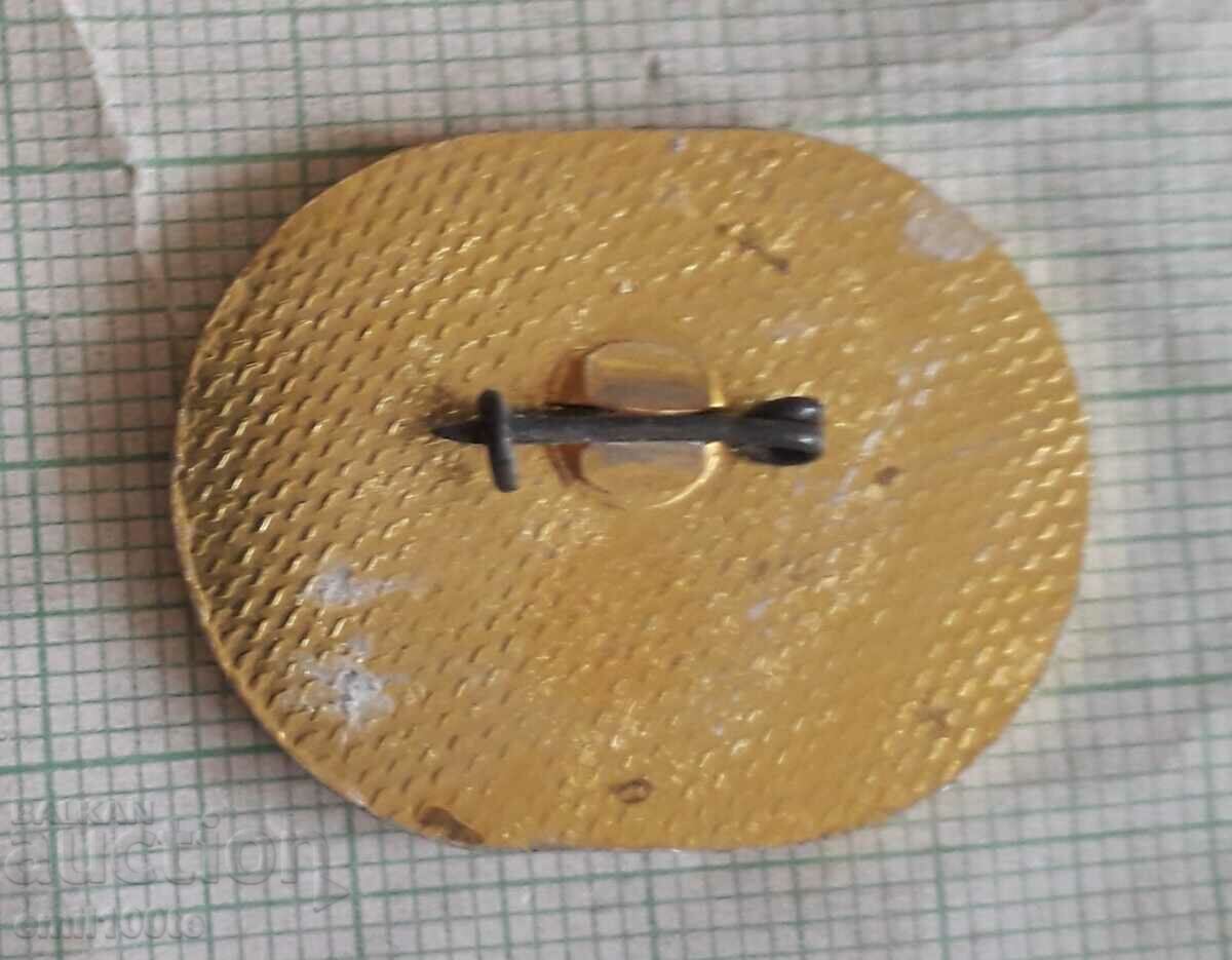 Livrarea Insigna - Ciclism ciclism montan Livrarea Insigna - Ciclism ciclism montan