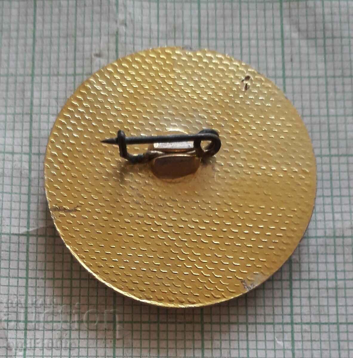 Badge - Ski sport - 5 Badge - Ski sport - 5