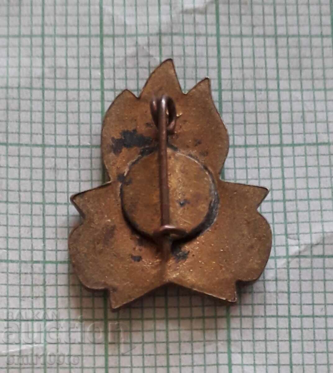 Delivery of Icon- Always ready Delivery of Icon- Always ready