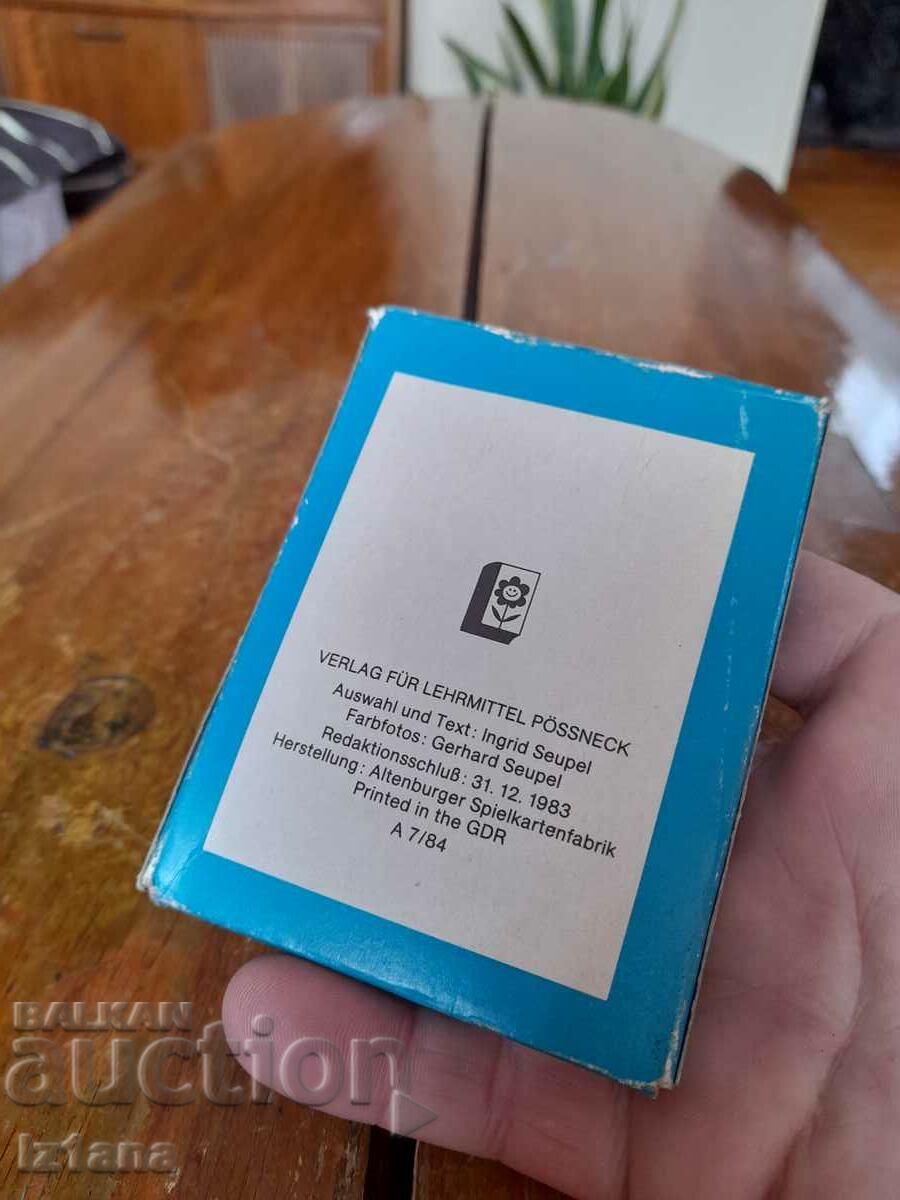 Auction Old playing cards Cats Auction Old playing cards Cats