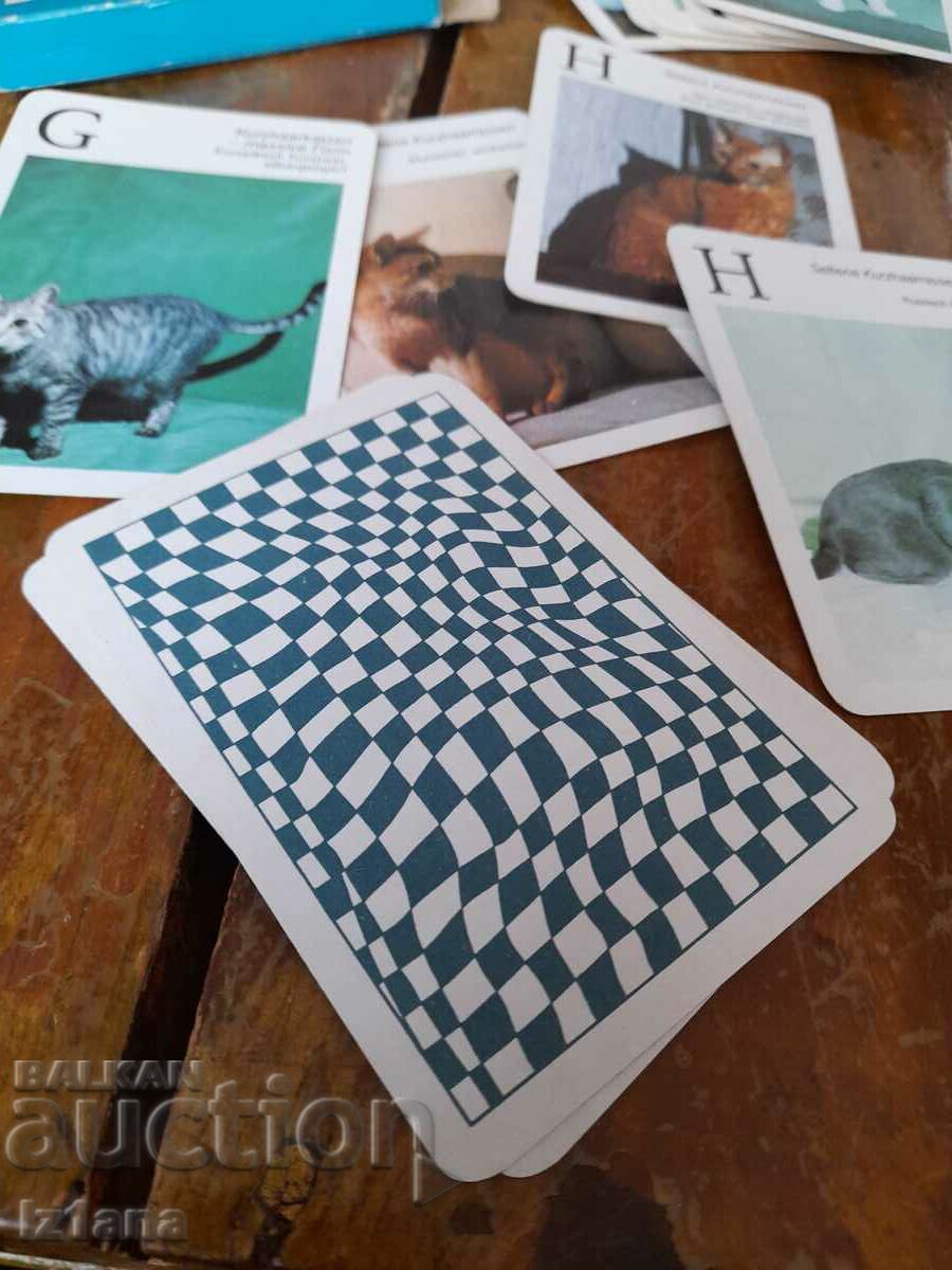 Old playing cards Cats - 5 Old playing cards Cats - 5