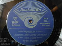 Literatură rusă pentru clasa a 9-a, BAA860, disc de gramofon, mare