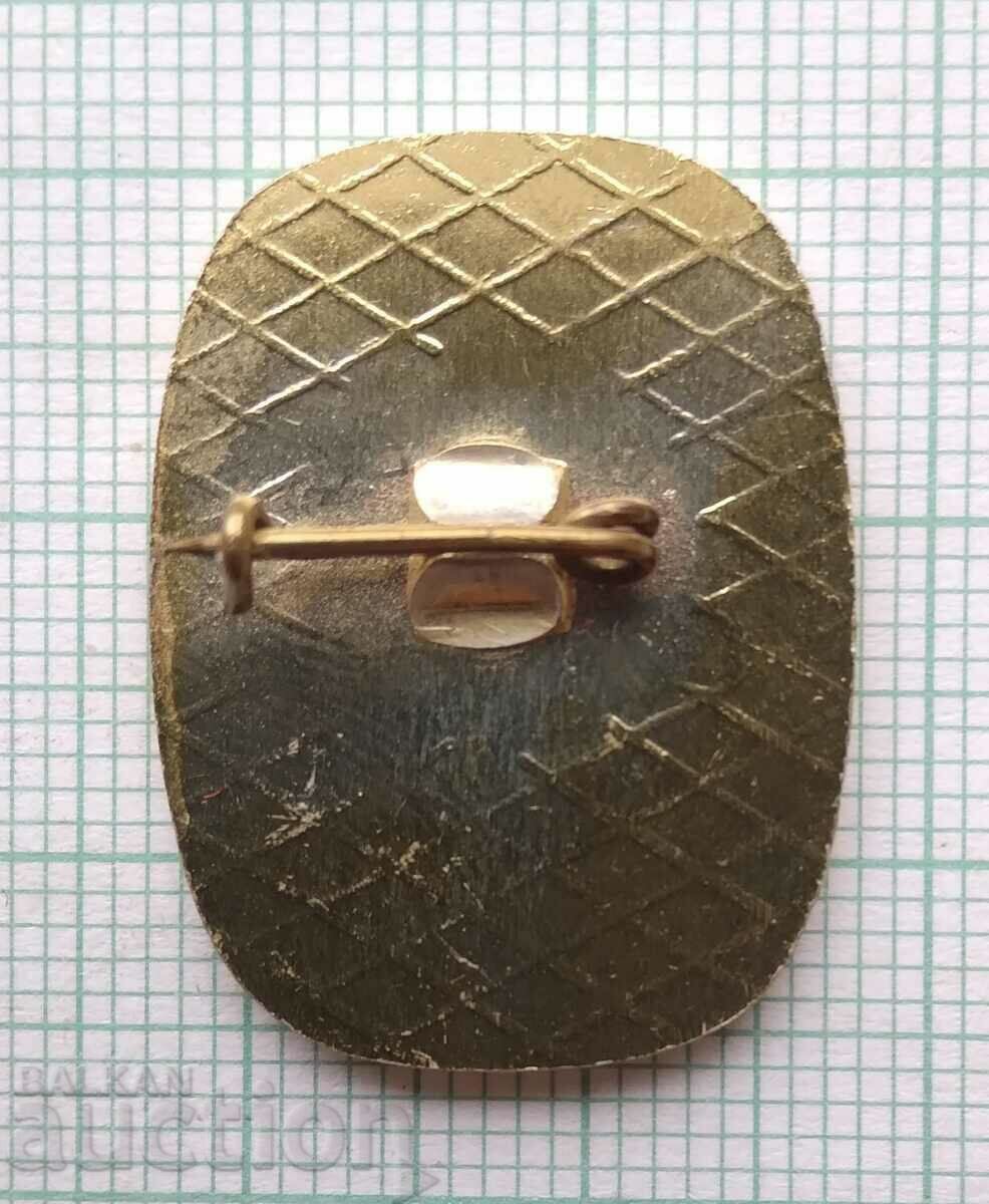 13922 Badge - Panorama - Pleven epic with price 2.00 BGN | € 1.02 13922 Badge - Panorama - Pleven epic with price 2.00 BGN | € 1.02