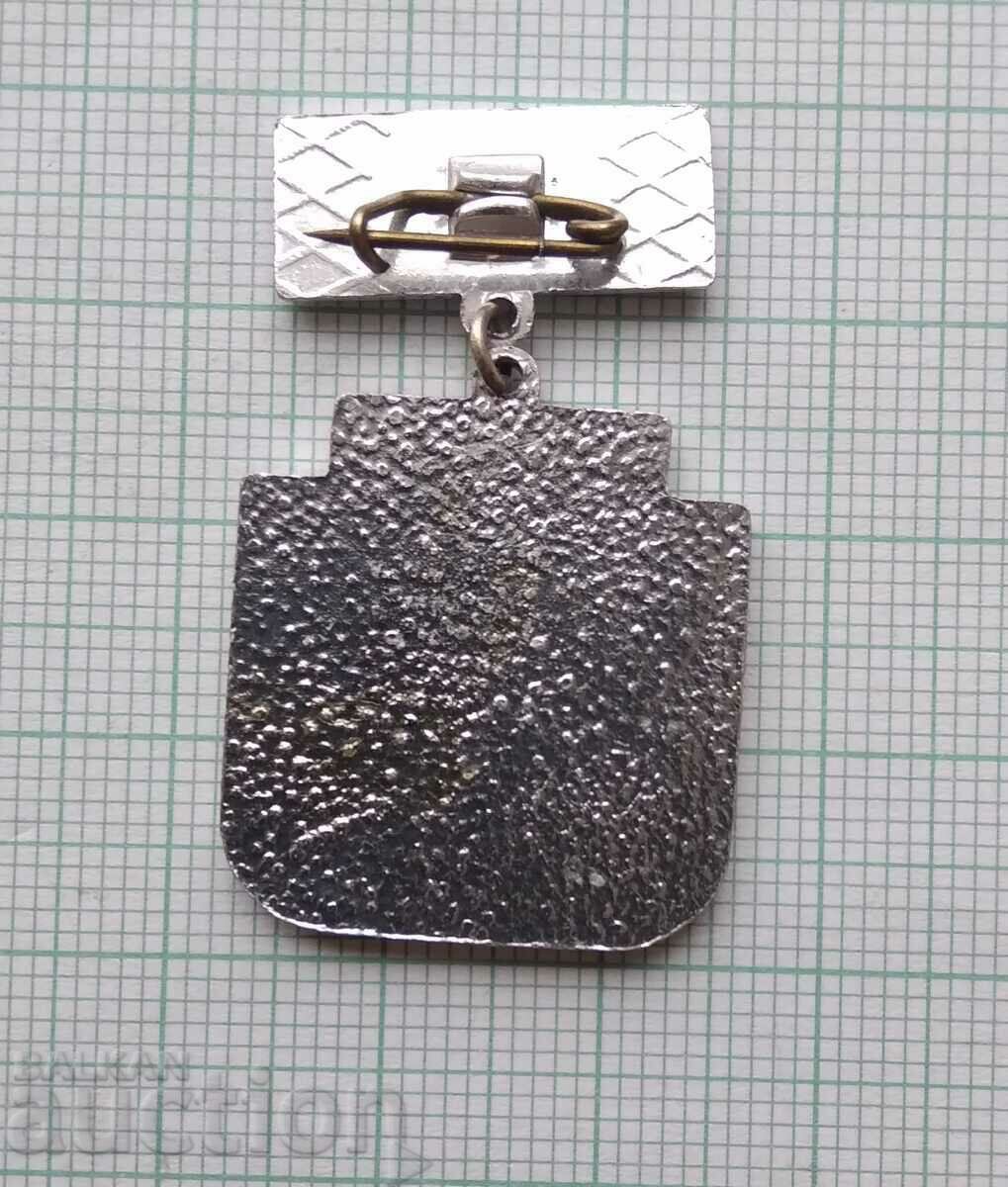 Auction  13932 Badge - Pleven District NRB