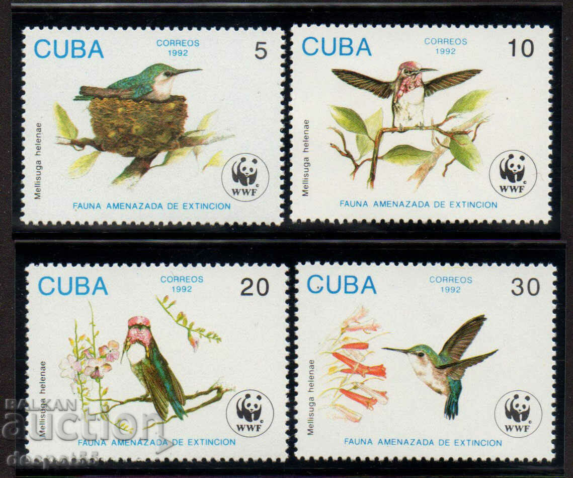 1992. Cuba. Pasărea colibri de albine.