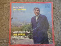 Φωνές από το Pirin, VTA 10329, δίσκος γραμμοφώνου, μεγάλος