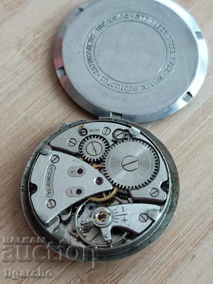 Delivery of WERBA watch winder Delivery of WERBA watch winder