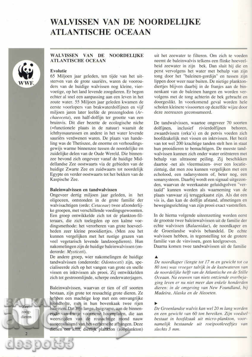 Auction 1990. Faroe Islands. North Atlantic whales. Auction 1990. Faroe Islands. North Atlantic whales.