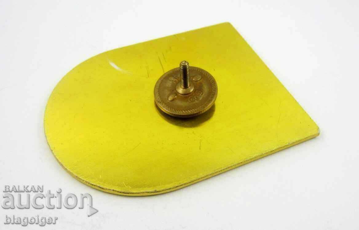 DETECTIVE AGENCY SALAMANDER-LARGE AND SMALL SIGN-SCREW - 6 DETECTIVE AGENCY SALAMANDER-LARGE AND SMALL SIGN-SCREW - 6