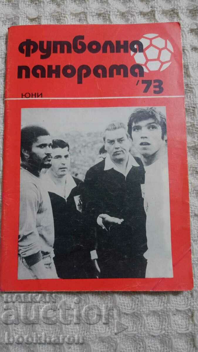 Ποδοσφαιρικό Πανόραμα Ιούνιος '73