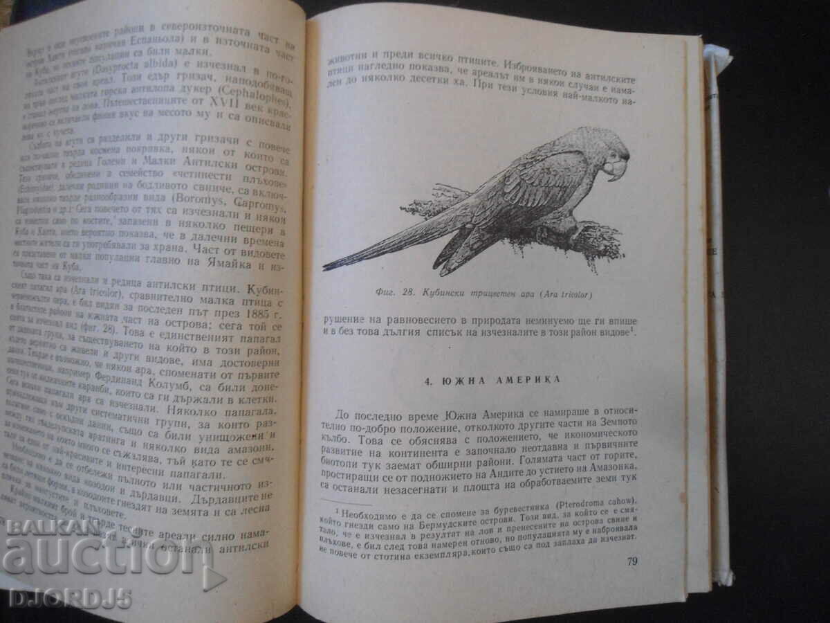 Auction Before Nature Dies, Jean Dorot Auction Before Nature Dies, Jean Dorot