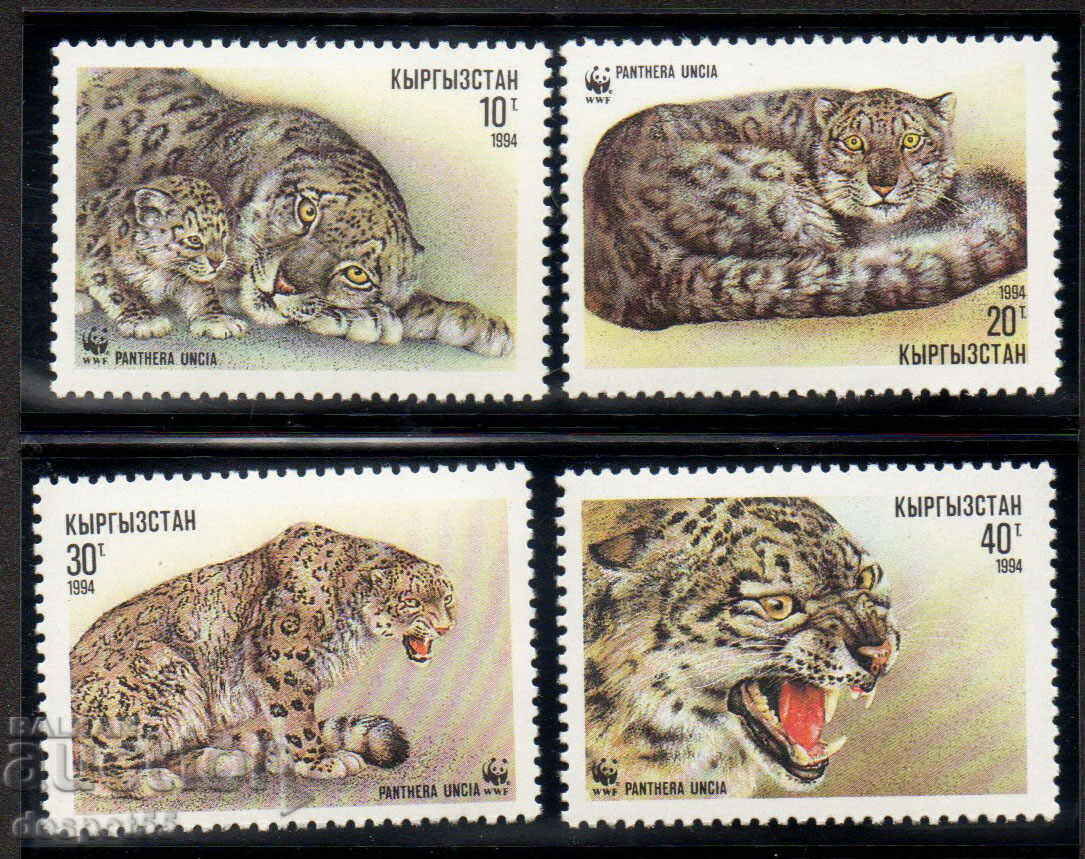 1994. Kyrgyzstan. The snow leopard.