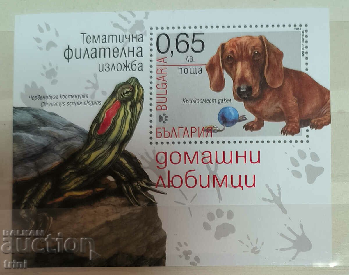 Block Pets Bulgaria 2015