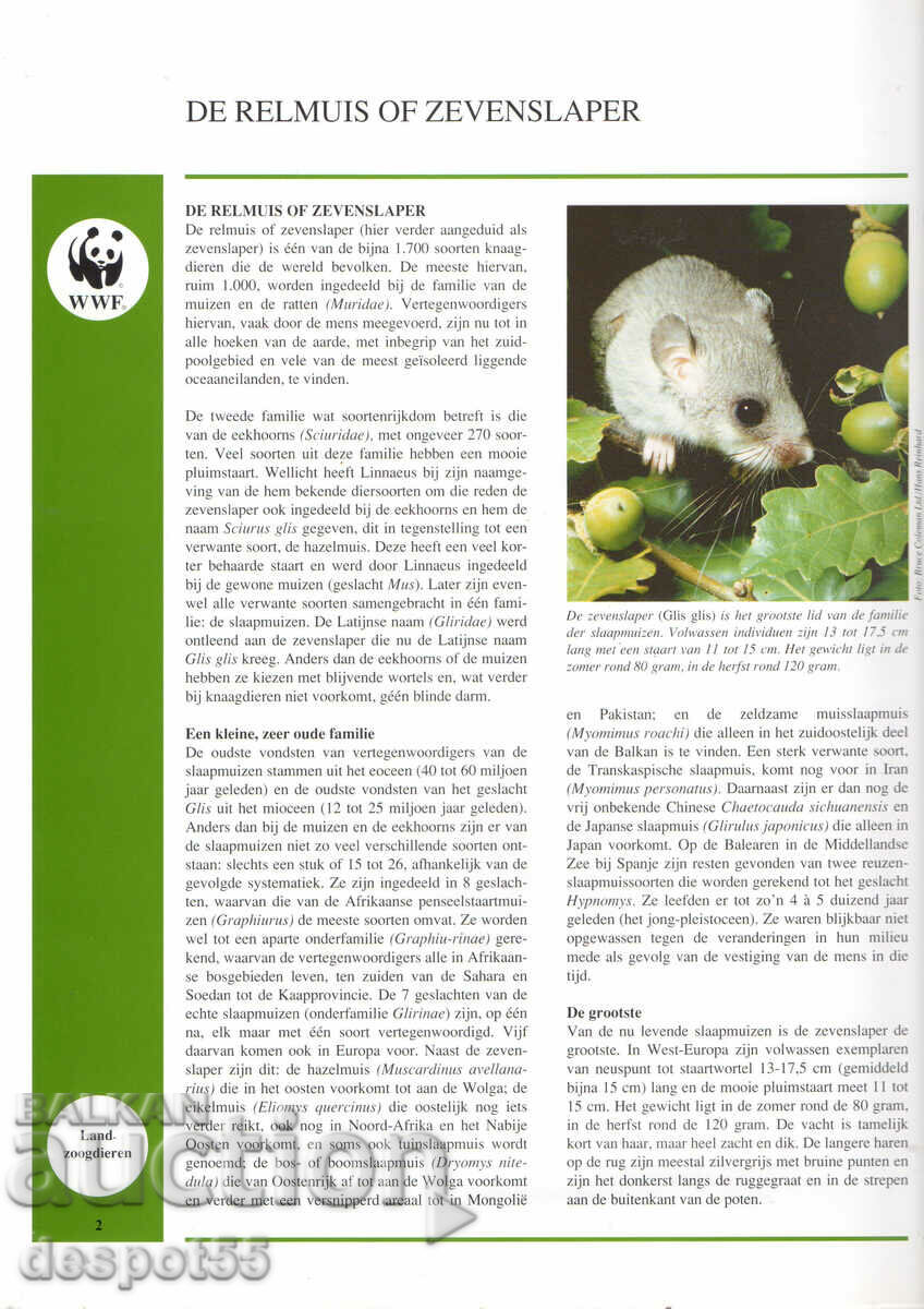 Auction  1994. Latvia. The fat sleeper.