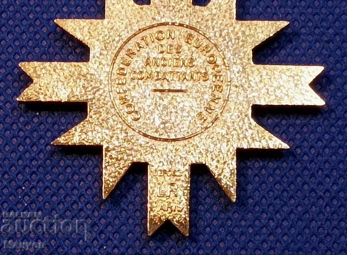 Auction Medal of Honor with EU miniature. Auction Medal of Honor with EU miniature.