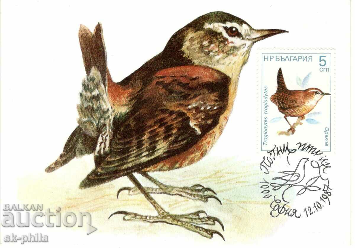 Пощенска карта-максимум - Пойни птици, Орехче