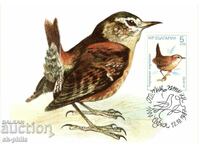 Carte poștală-maximum - Păsări cântătoare, Orehche