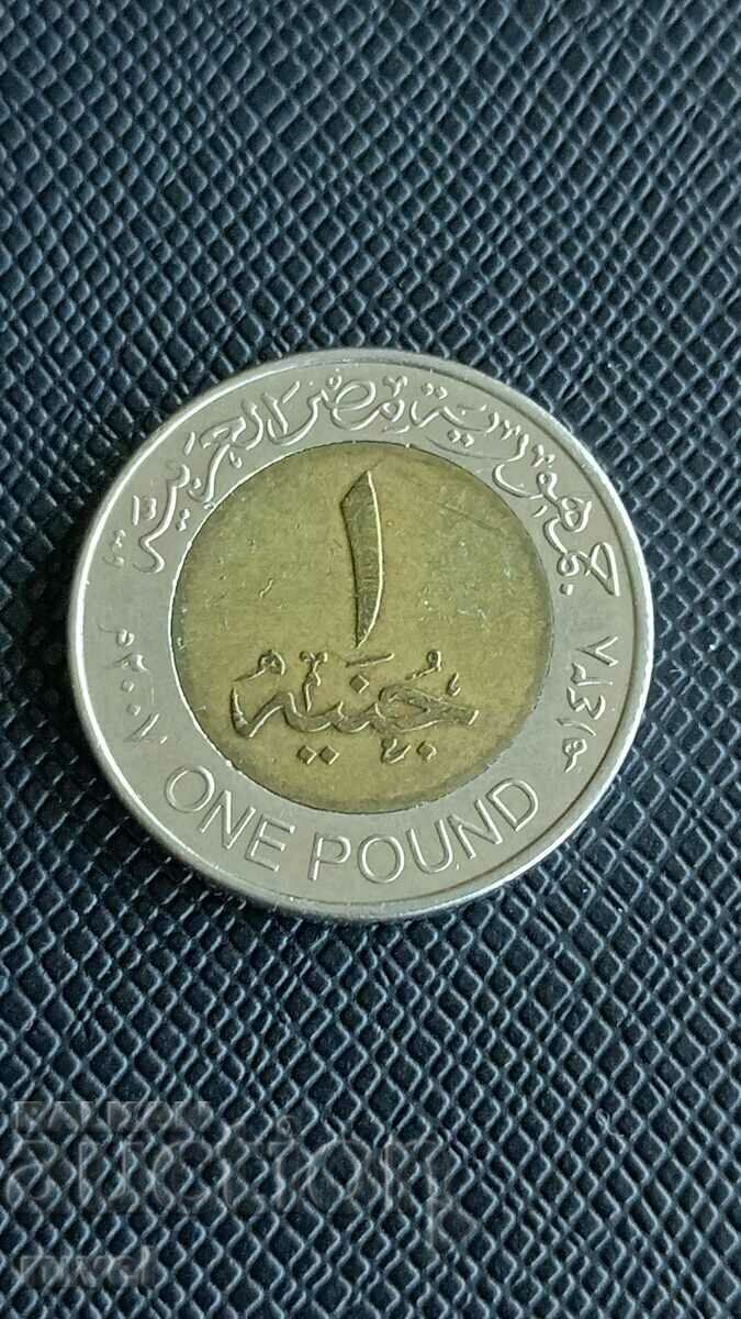 Египет, 1 паунд  2007 г.