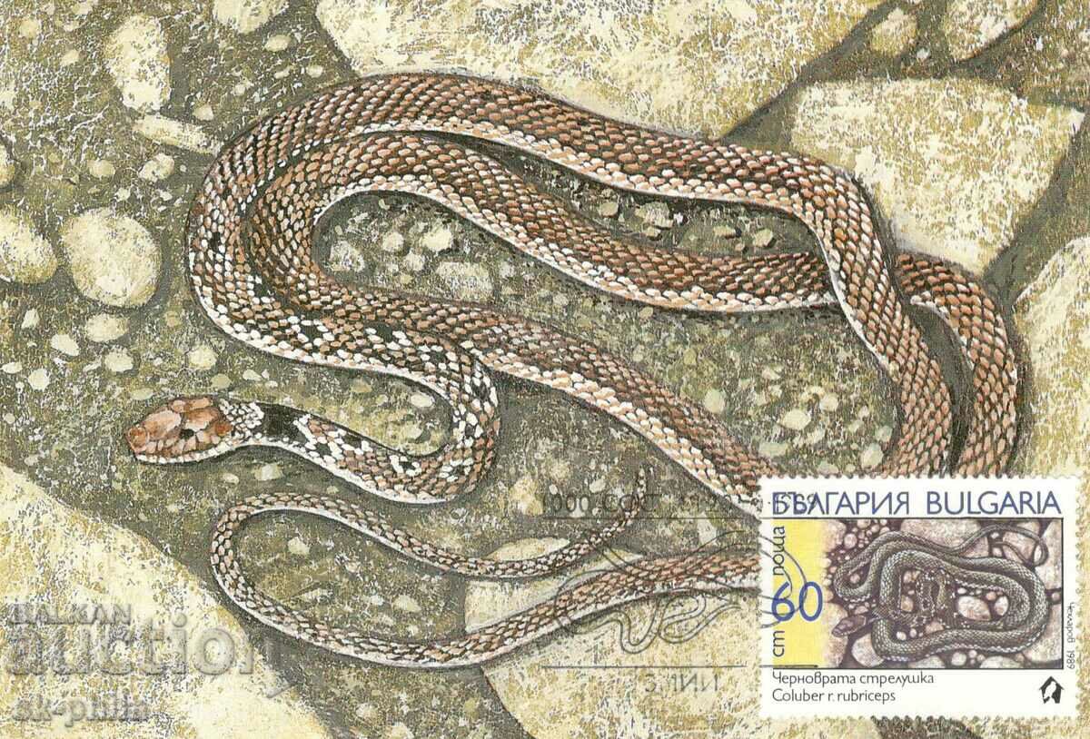 Καρτ ποστάλ-μέγιστο - Φίδια - βέλος