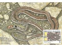 Пощенска карта-максимум - Змии - стрелушка