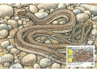 Пощенска карта-максимум - Змии - ивичест смок