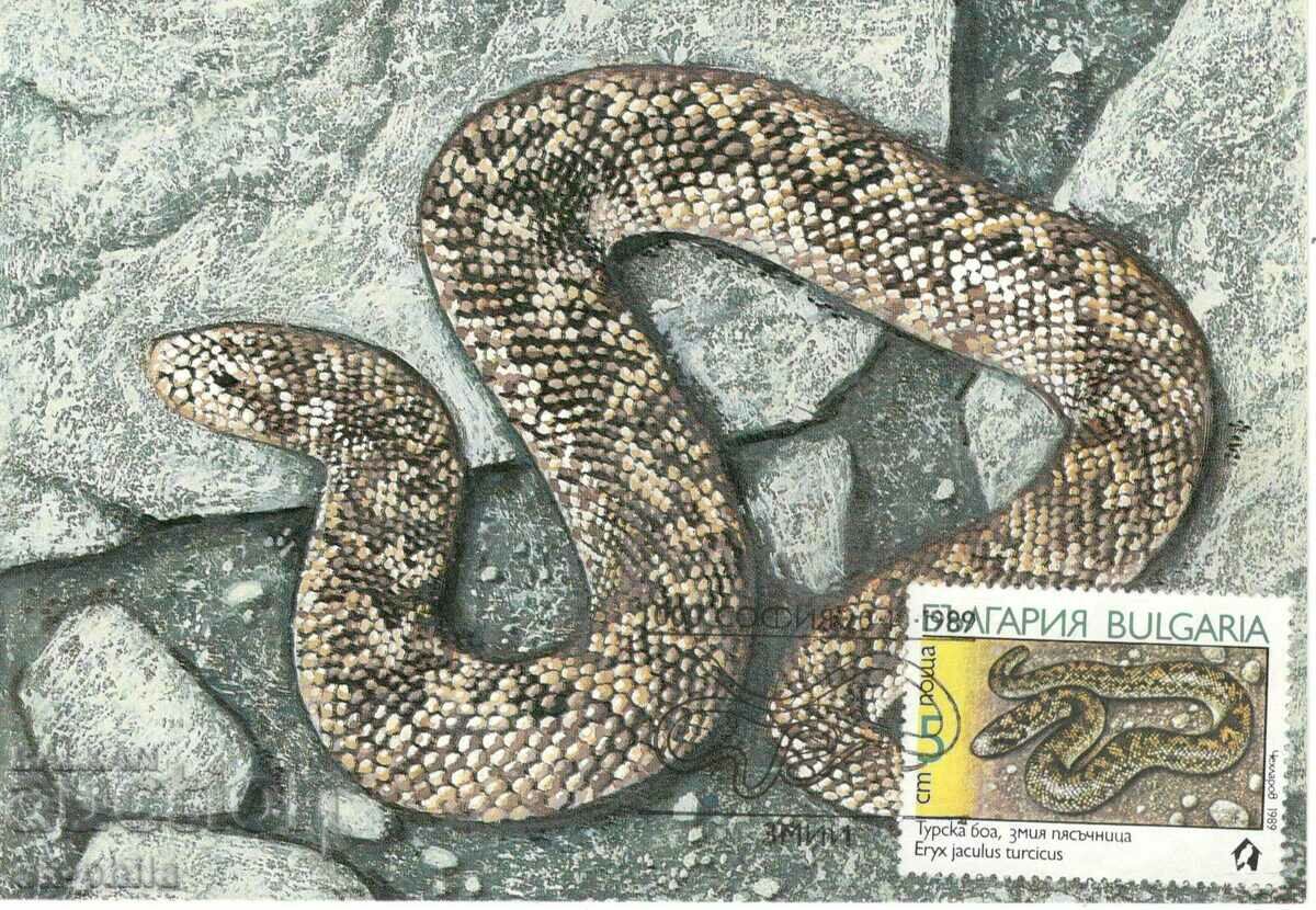 Пощенска карта-максимум - Змии - Турска боа, Пясъчница